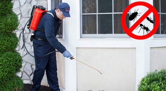 Bağlar Dezenfeksiyon böcek ilaçlama ve haşere kontrolü — ilaclama-tr.com